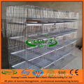 Female Rabbit Cage (4 layer*5 door) for Sale